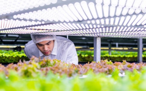 Emilia-Romagna, 60 milioni alle imprese agroalimentari
